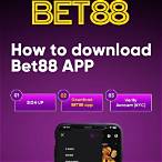 visa bet 88